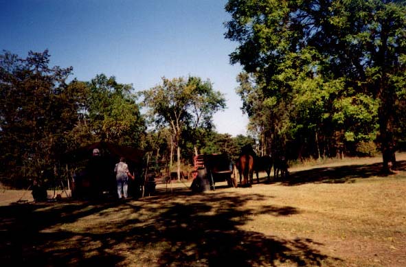 wagon and horses
